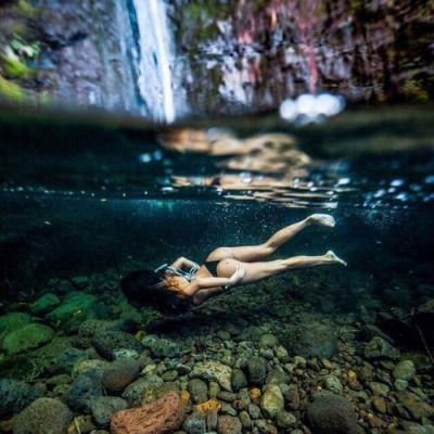 A resort in Hawaii for celebrities who need to escape.