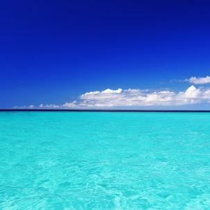 HelloLouis1224's profile picture. 名言とか恋言をつぶやくことにしました。いいもの、共感できるものがありましたらフォロー、RTよろしくお願いします！