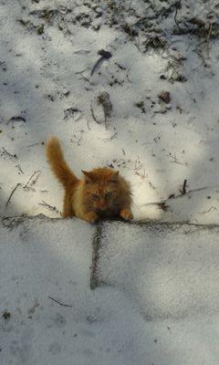 singlelife2015's profile picture. Single mom of 3 :)♡♡