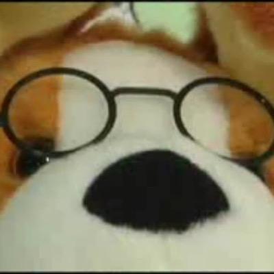 本アカ@a_kungfuk5の飼育ツイ。 中の人は音楽好きで、コーギー、パピヨン、ボーダーコリーとキジトラを飼ってます。コーギーは静岡島田市生まれ。大好きなGotchさん（ASIAN KUNG-FU GENERATION）の故郷つながり。たまに出没します。相方の看病でツイッター休止中。また浮上はします。暫くお待ち下さい