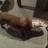 AJ_Davis93's profile image