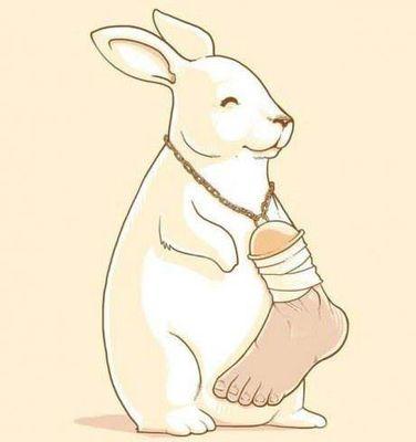 putzqsparolio's profile picture. Paralelepípedo