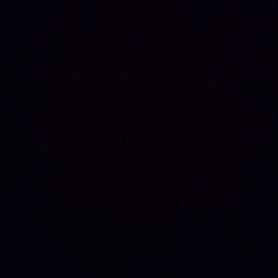 PolypterusLOVE's profile picture. つかってません