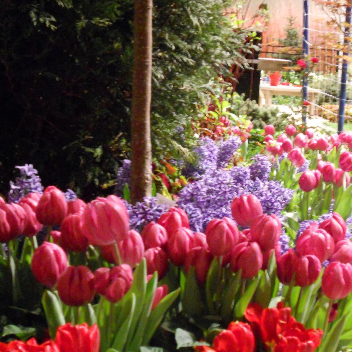 Get a glimpse into the visual work and culture of Patch Landscaping.