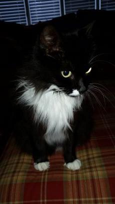 4b23cffe84c44c8's profile picture. 