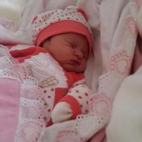 Nursina Melek (@gfbakyol) 's Twitter Profile