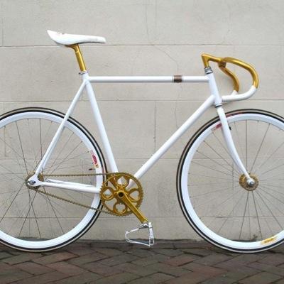 racheldimes's profile picture. 