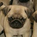 Isabel Berry - @Berry29Isabel - Twitter