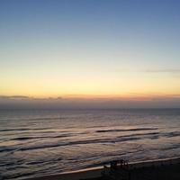 PCamp South Florida (@pcampsfl) 's Twitter Profile