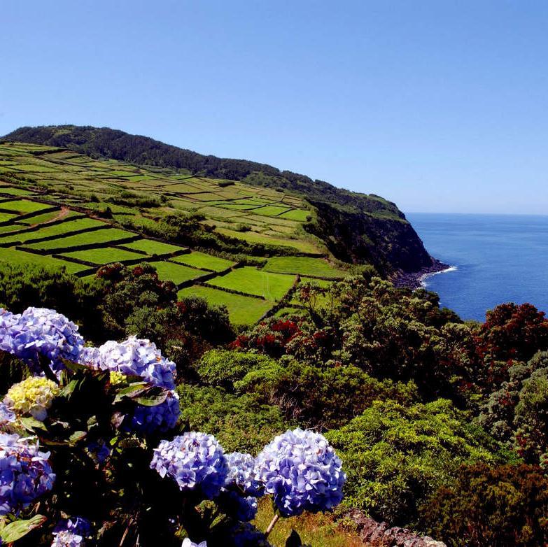 Visit #Terceira Island in the #Azores #Portugal. Also called the Purple Island.