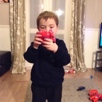 big formula one fan .big lewis hamilton fan.