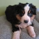 Harvey Wallbanger - @MrHarveyLu - Twitter