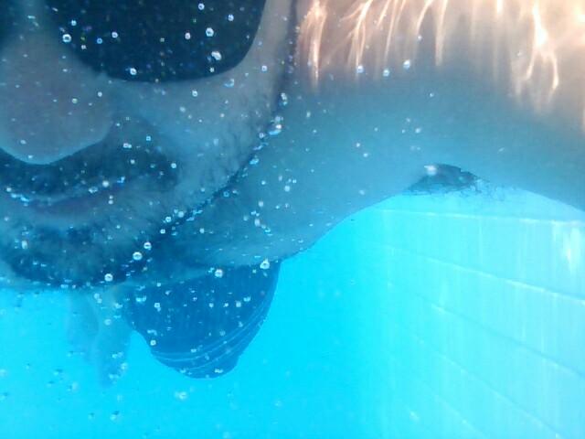 tdelinardi's profile picture. 