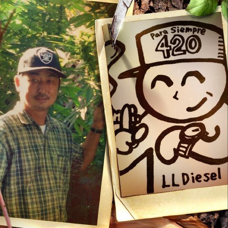 LLDiesel's profile picture. 大麻の非犯罪化、医療大麻制度、医療大麻油の効能、大麻栽培、 (CA 医療大麻免許 所持 / California NORML 会員)