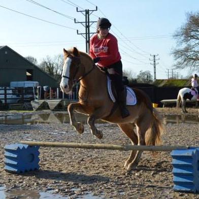 Instagram @georgiee_hann, my pony is my world♥, my friends mean the world to me dont know where id be without them