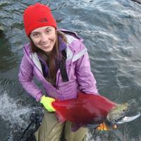Krista Oke (@kristaoke) 's Twitter Profile