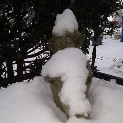 gardeningnome's profile picture. Fierce Mama Bear, Ally, I'm tired all the time & I love naps.