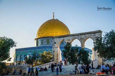 ‏‏انه لايياس من روح الله الا القوم الكافرون