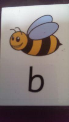 RighttoReadCo's profile picture. Director of Right to Read, SpLD teacher, adoptive parent, mum to 3 cygnets