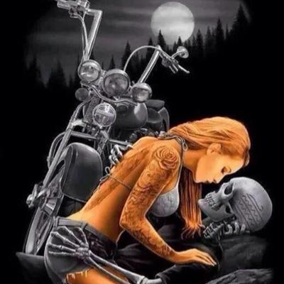 trujillo_gaston's profile picture. 