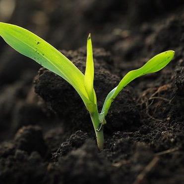 #GMO #labeling inc. info  #food such as origin, growing/living env., handling, & transportation. #awareness #growyourown