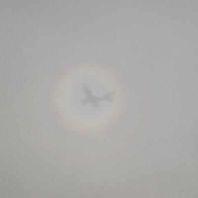 flyingcoolboy's profile picture. 