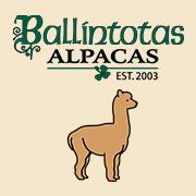 Ballintotas Alpacas