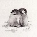 Maria Ludlow - @maria_lu_ca - Twitter