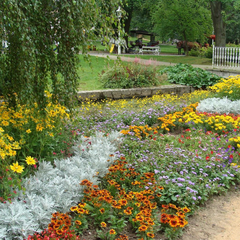 a9003515's profile picture. 