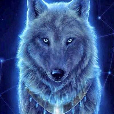 amzig2002's profile picture. 