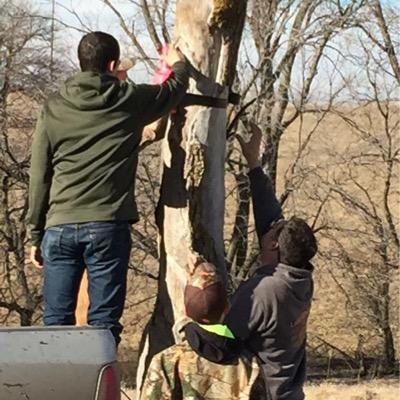 rgilman2016's profile picture. 