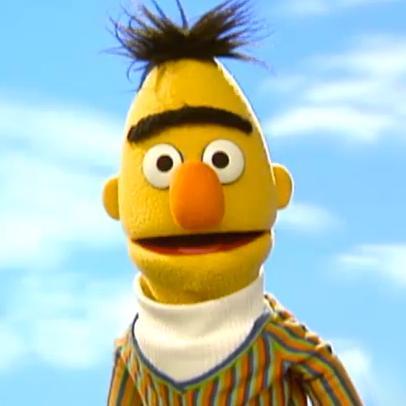 real life Bert