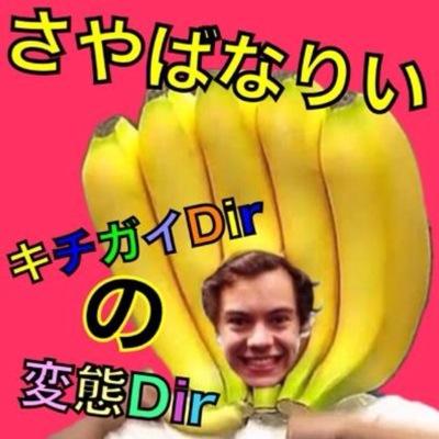 OTRAの余韻が消えない。Harryの笑顔は元気の源☆Harryのえくぼとお揃いぴーや( ^ω^ ) 夢はHarryと2ショットを撮ること‼︎ 【 ばなりい 】って呼んでね（＾∇＾）鬼絡みしよ（☝︎ ՞ਊ ՞）☝︎インスタよろしくね！