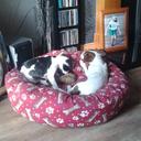 Aaron Maher - @aaronmaher34 - Twitter