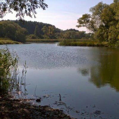 katiep_runner's profile picture. 