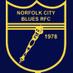 Norfolk Blues Rugby (@norfolkbluesrfc) Twitter profile photo