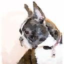 Kim Douglass - @kadouglass - Twitter