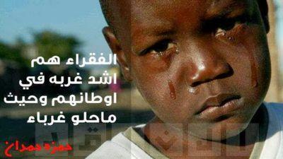 الفلوجة