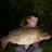 Profile Picture of Aaron Collett-Evans (@@50_aaron) on Twitter