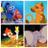 Disney Animal Facts