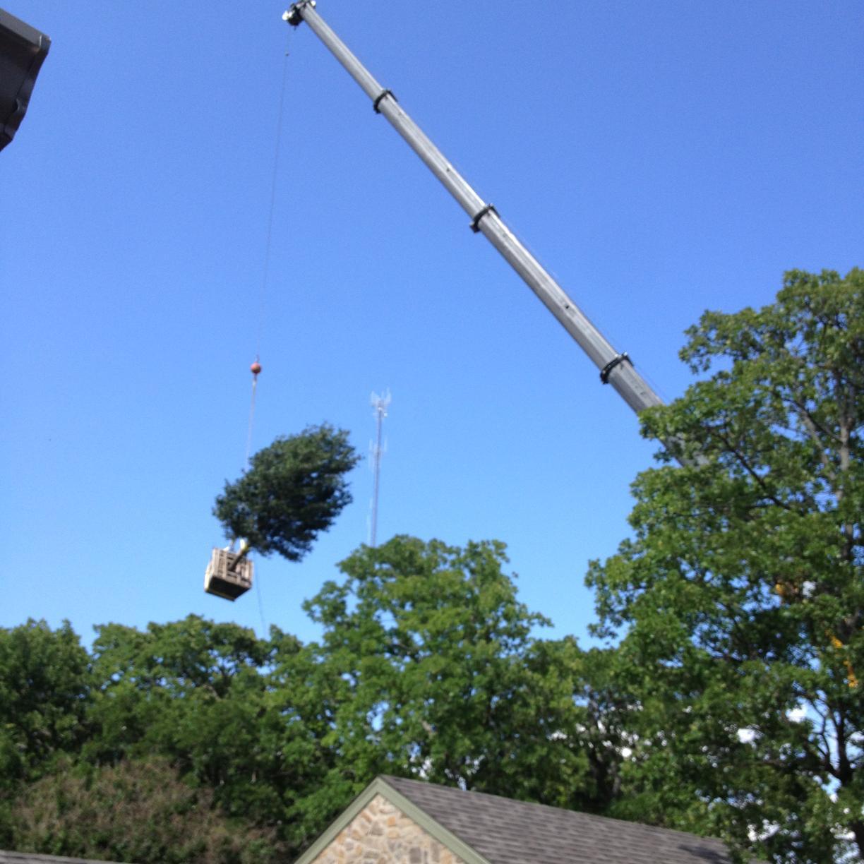 superiorlawn87's profile picture. Superior Lawn and Landscape (est. 1987) provides Professional Design, Quality Products, and Commitment to Service for your landscape and irrigation needs.