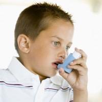 ADAROAST's profile picture. only the finest here