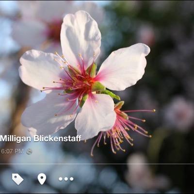 bethblick's profile picture. Spartan Strong