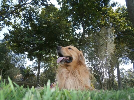 jairsynio's profile picture. 