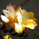 DL - @Sony6000David - Twitter