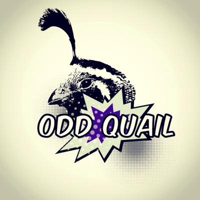 Odd Quail Gaming Channel. We love to game and we love playing your new projects. Let us watch, play, and share! Partners with @elburritoblog and @Slickster_Mag