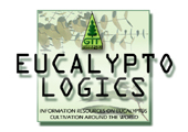 Eucalyptologics's profile picture. Information Resources on Sustainable Eucalyptus Cultivation Worldwide  (Biomass, Pulp & Paper, Panels, Solidwood, Carbon Sinks, Phytoremediation)