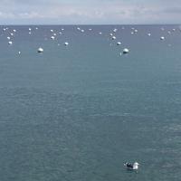 Avalon Harbor Patrol (@avalonharbor) 's Twitter Profile