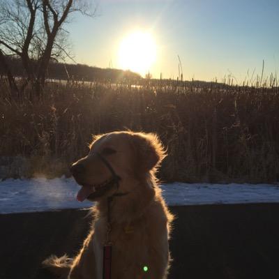 BWords's profile picture. I wanna be a front porch rockin' with the big sun dropping in a blue sky, kick back and get high on the livin' part of life.