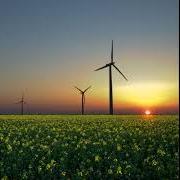 Environmentally aware - Go Green!